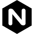Nginx icon